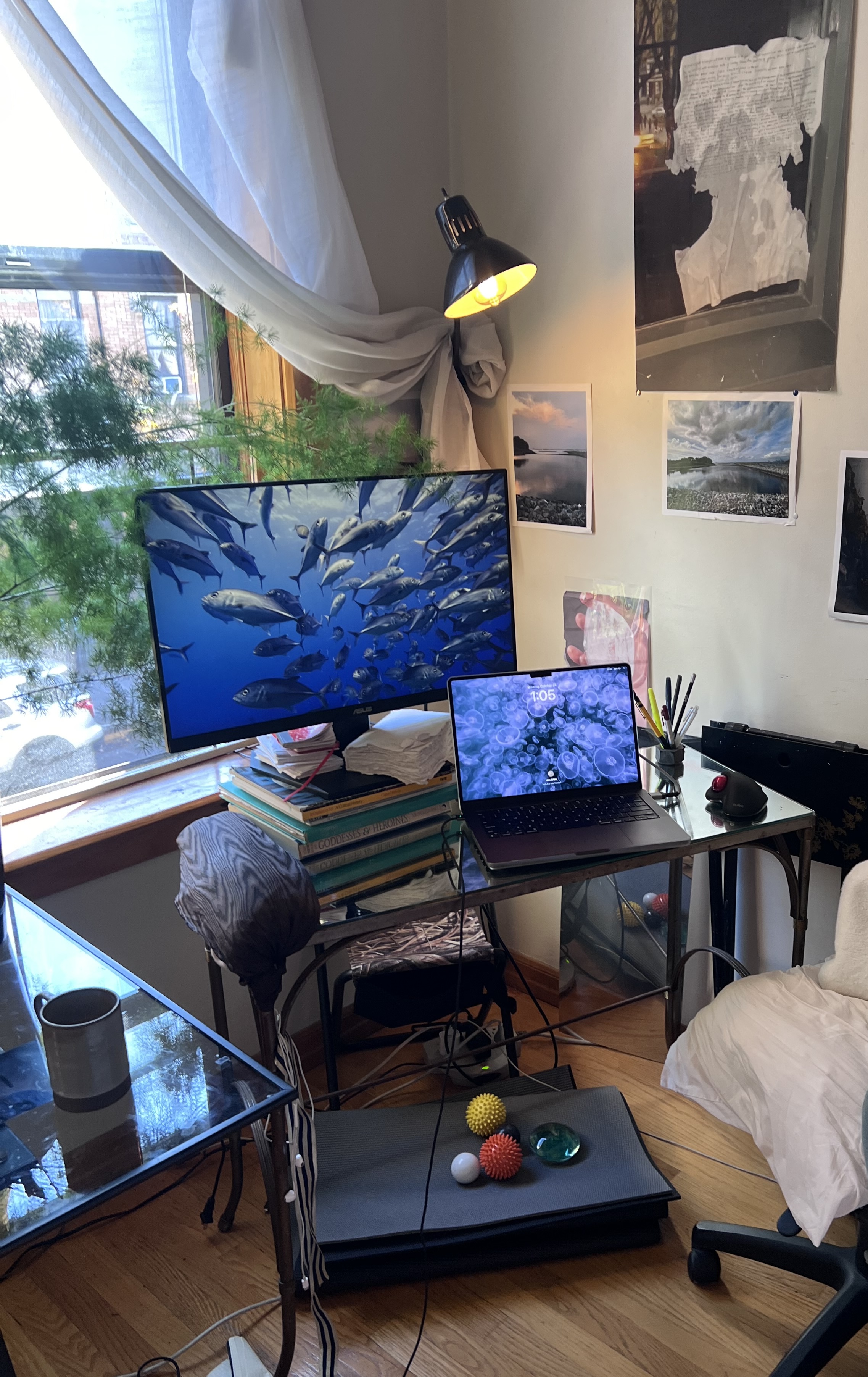 My workspace with plants, natural light, and my laptop and monitor.